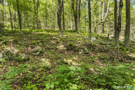 321 Colebrook Road Winchester CT 06098