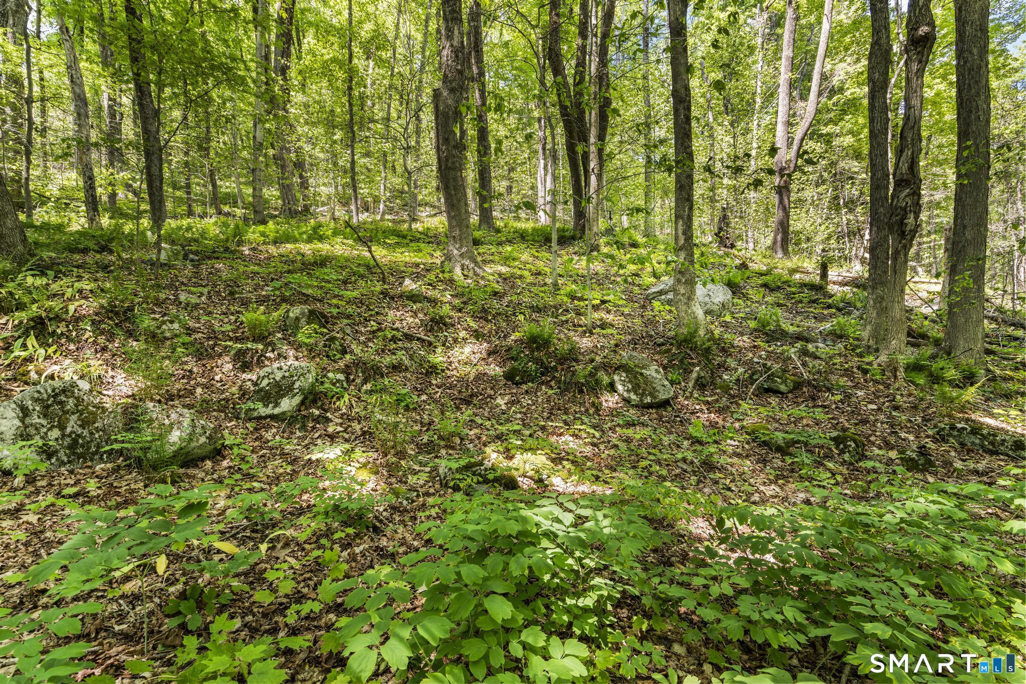 321 Colebrook Road Winchester CT 06098