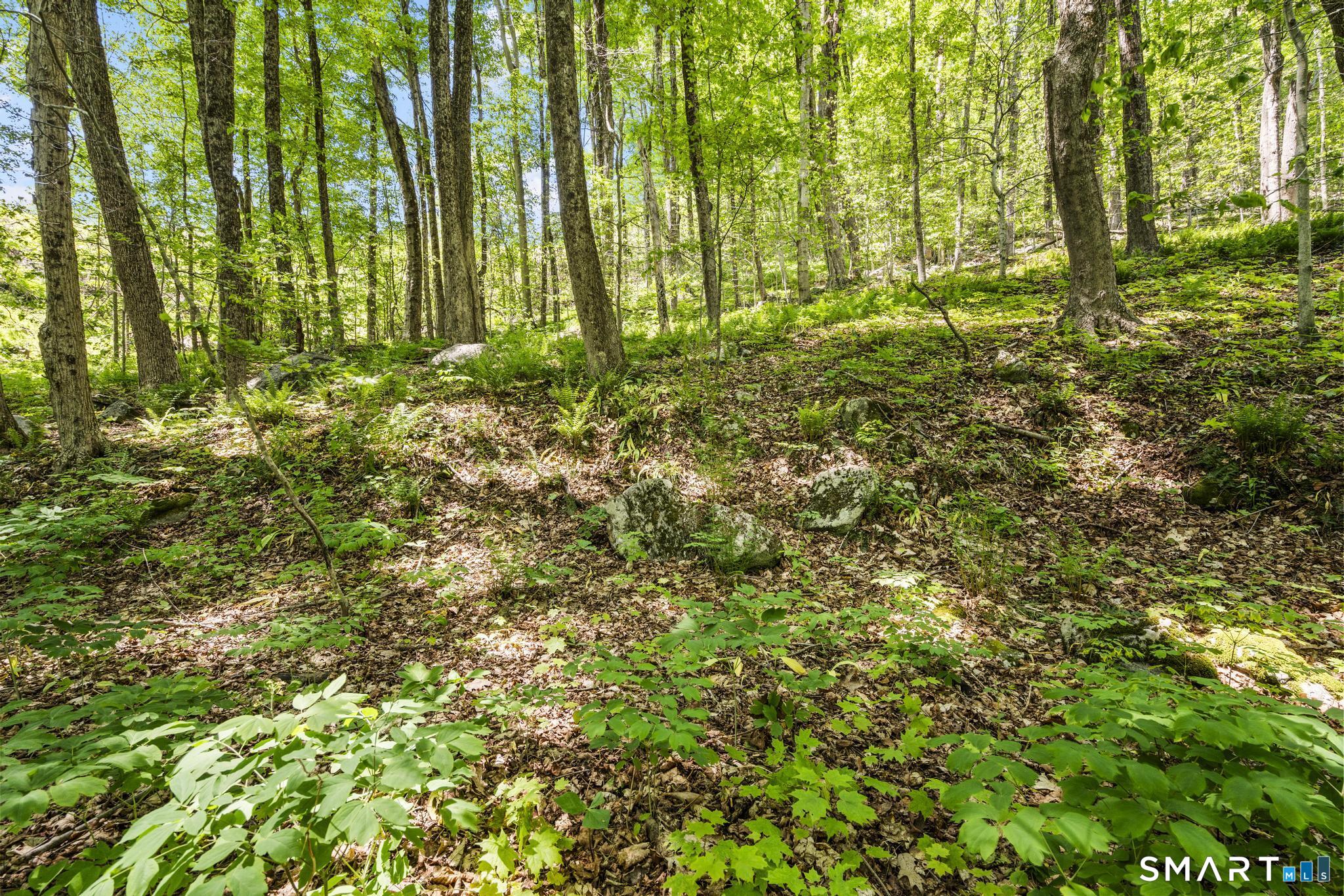 321 Colebrook Road Winchester CT 06098