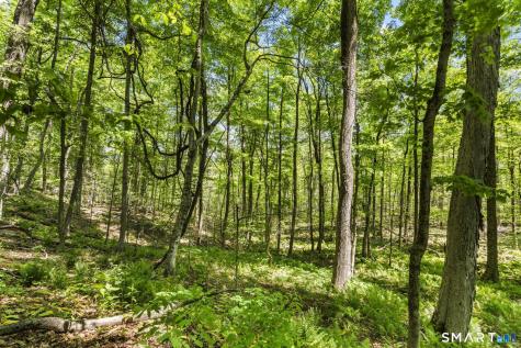 321 Colebrook Road Winchester CT 06098