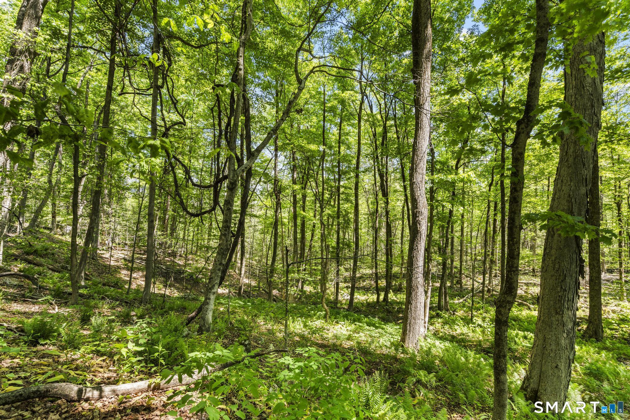 321 Colebrook Road Winchester CT 06098