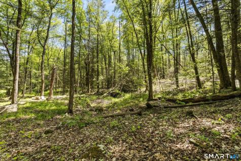 321 Colebrook Road Winchester CT 06098