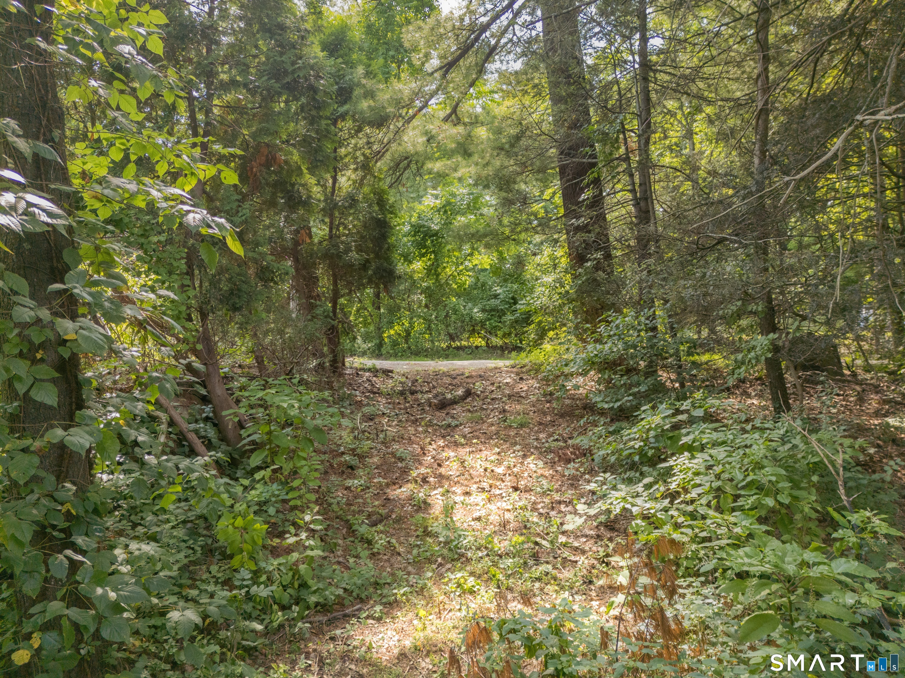 556 Simsbury Road Bloomfield CT 06002