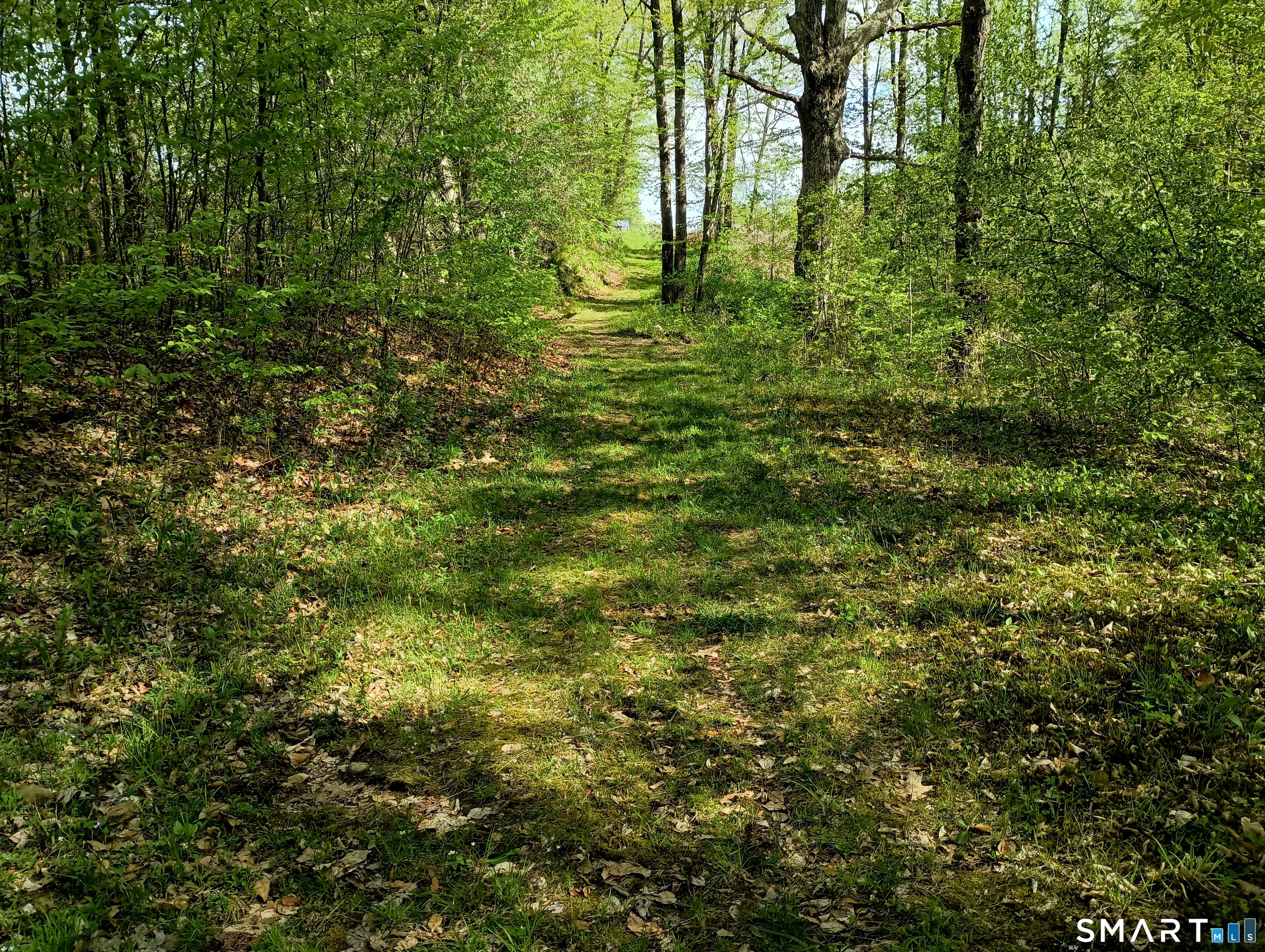 2581 Litchfield Road Watertown CT 06795