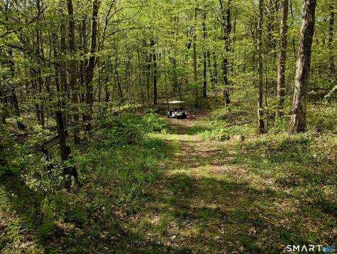 2581 Litchfield Road Watertown CT 06795