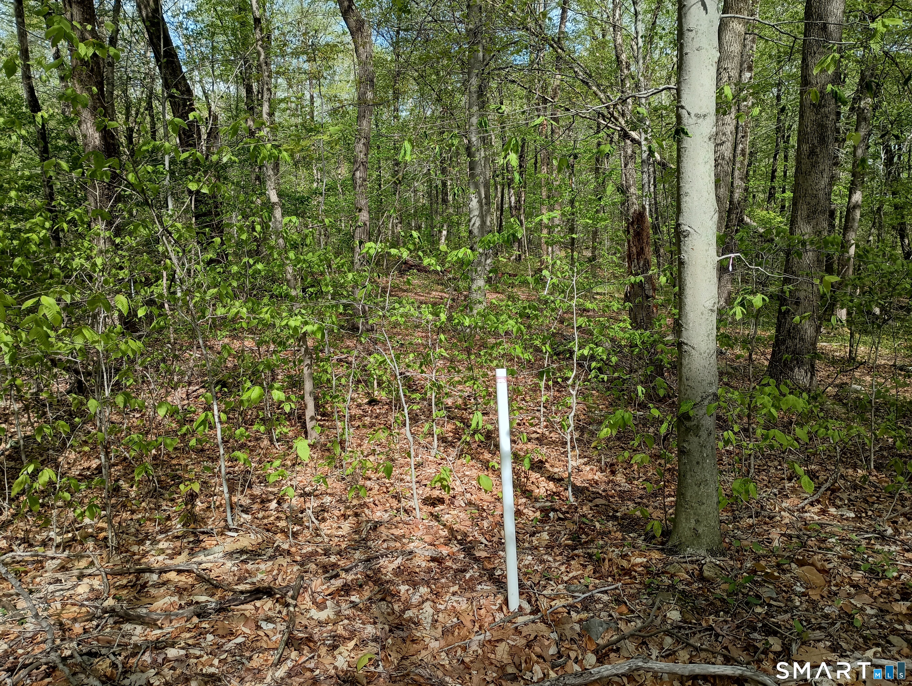 2581 Litchfield Road Watertown CT 06795
