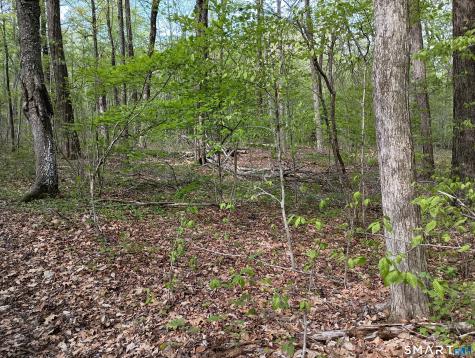 2581 Litchfield Road Watertown CT 06795