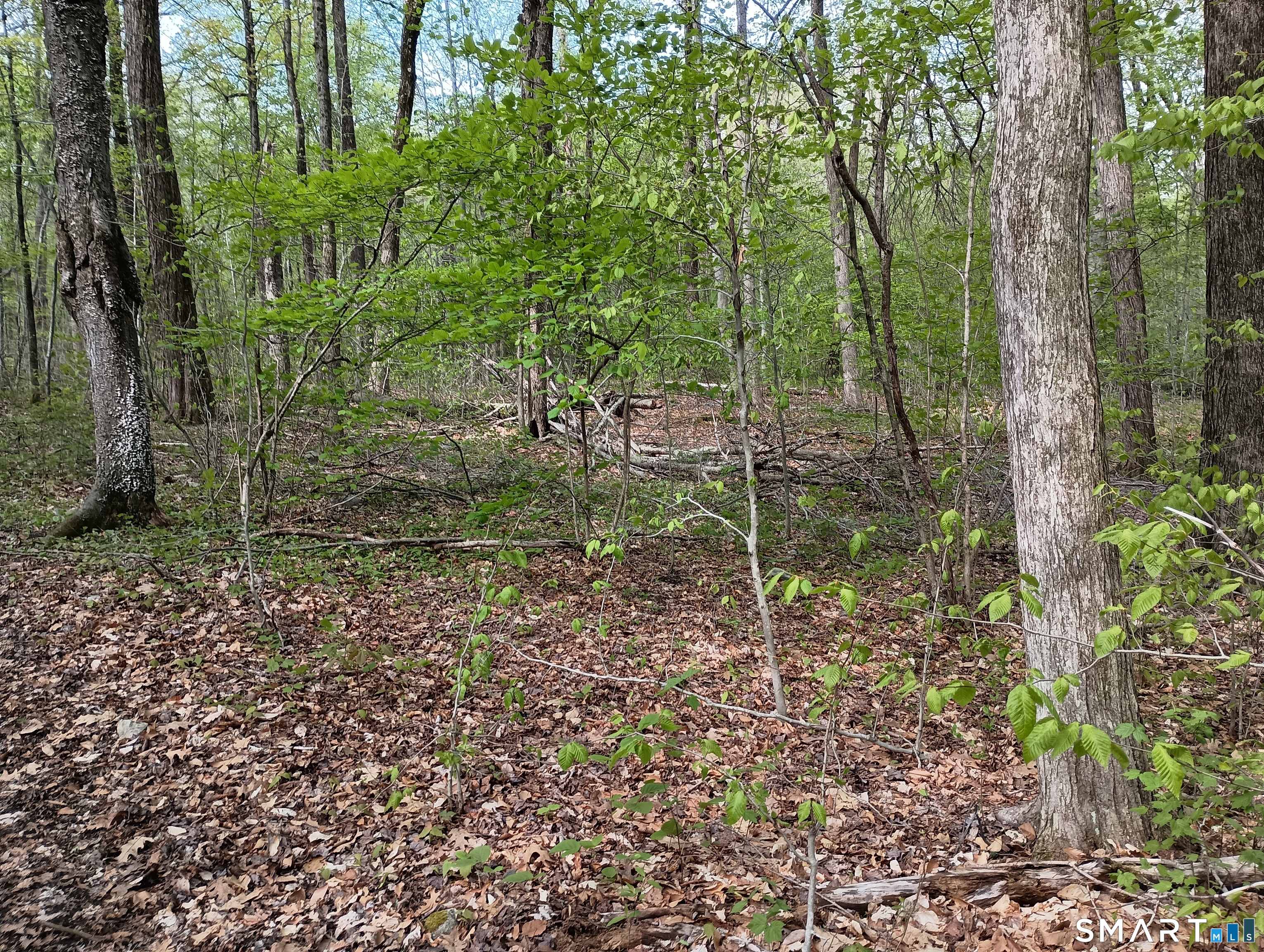 2581 Litchfield Road Watertown CT 06795