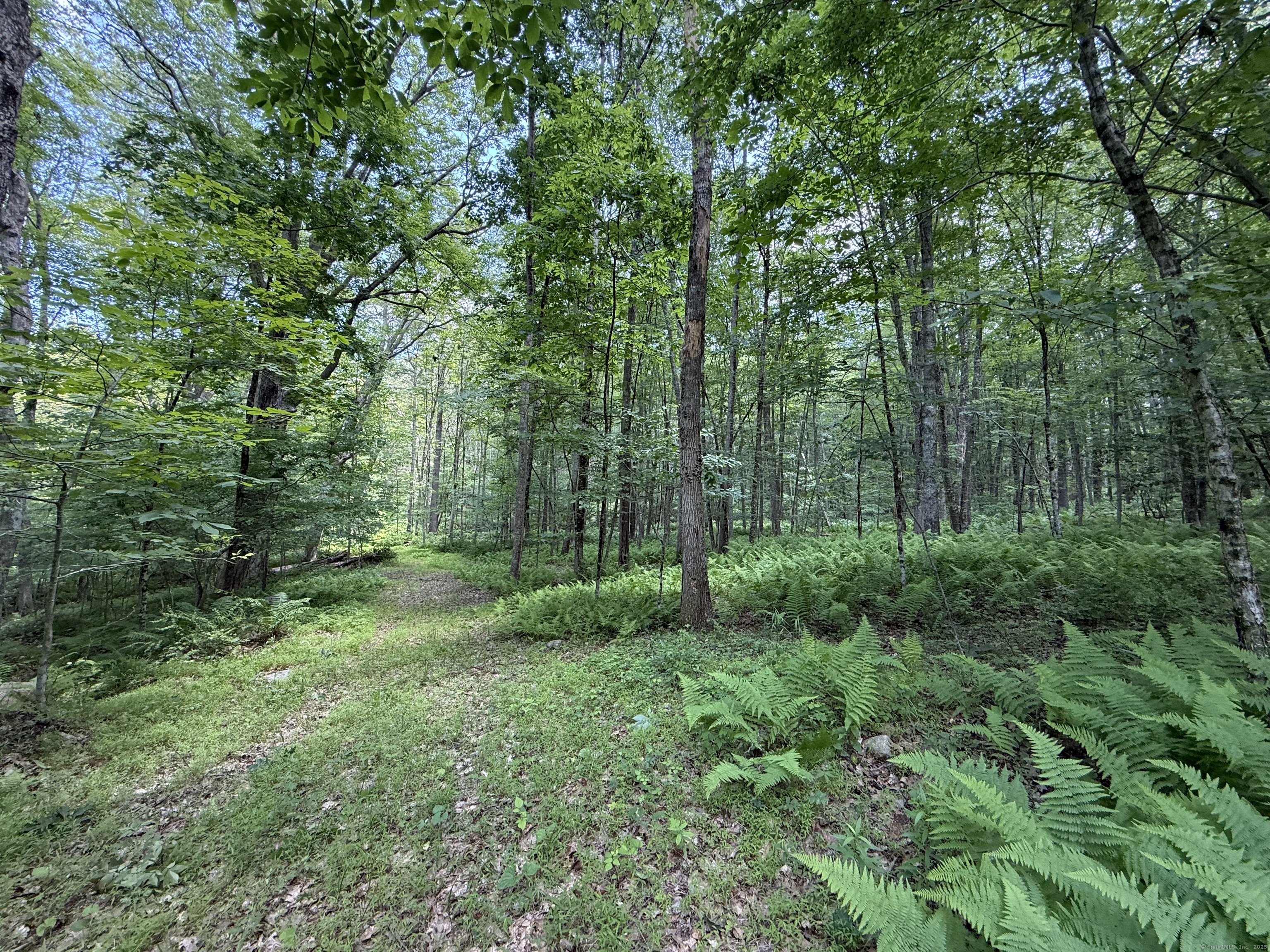 350 Breakneck Hill Road Killingly CT 06241