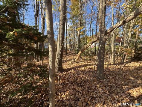 North Main Street Waterbury CT 06704