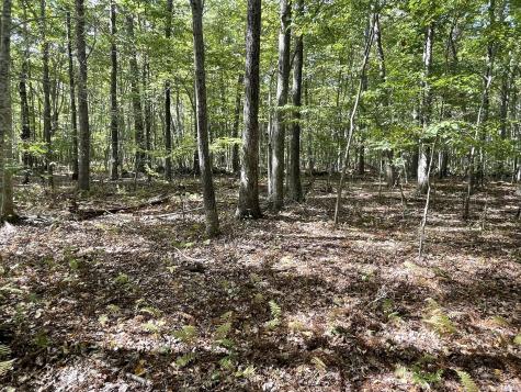 15 Short Hills Road Old Lyme CT 06371