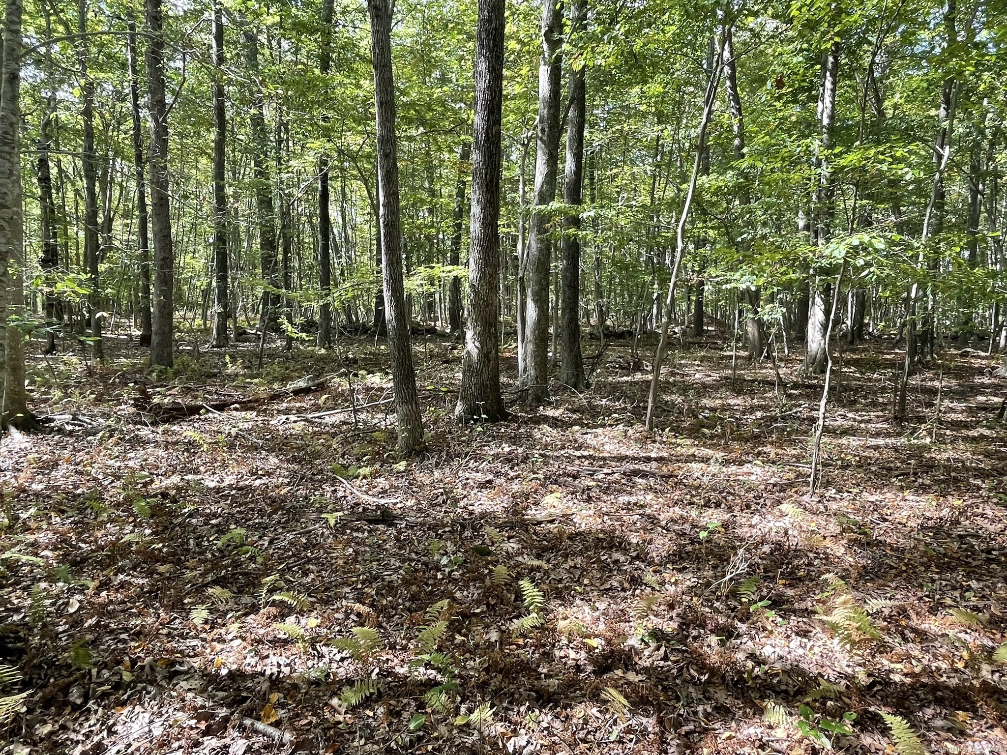 15 Short Hills Road Old Lyme CT 06371