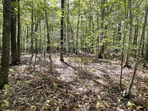 15 Short Hills Road Old Lyme CT 06371