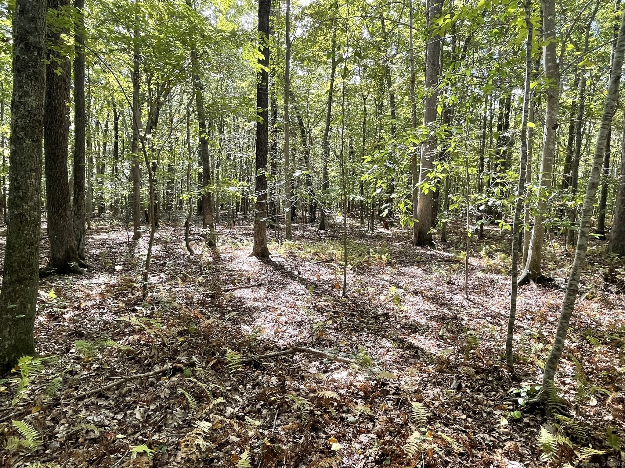 15 Short Hills Road Old Lyme CT 06371