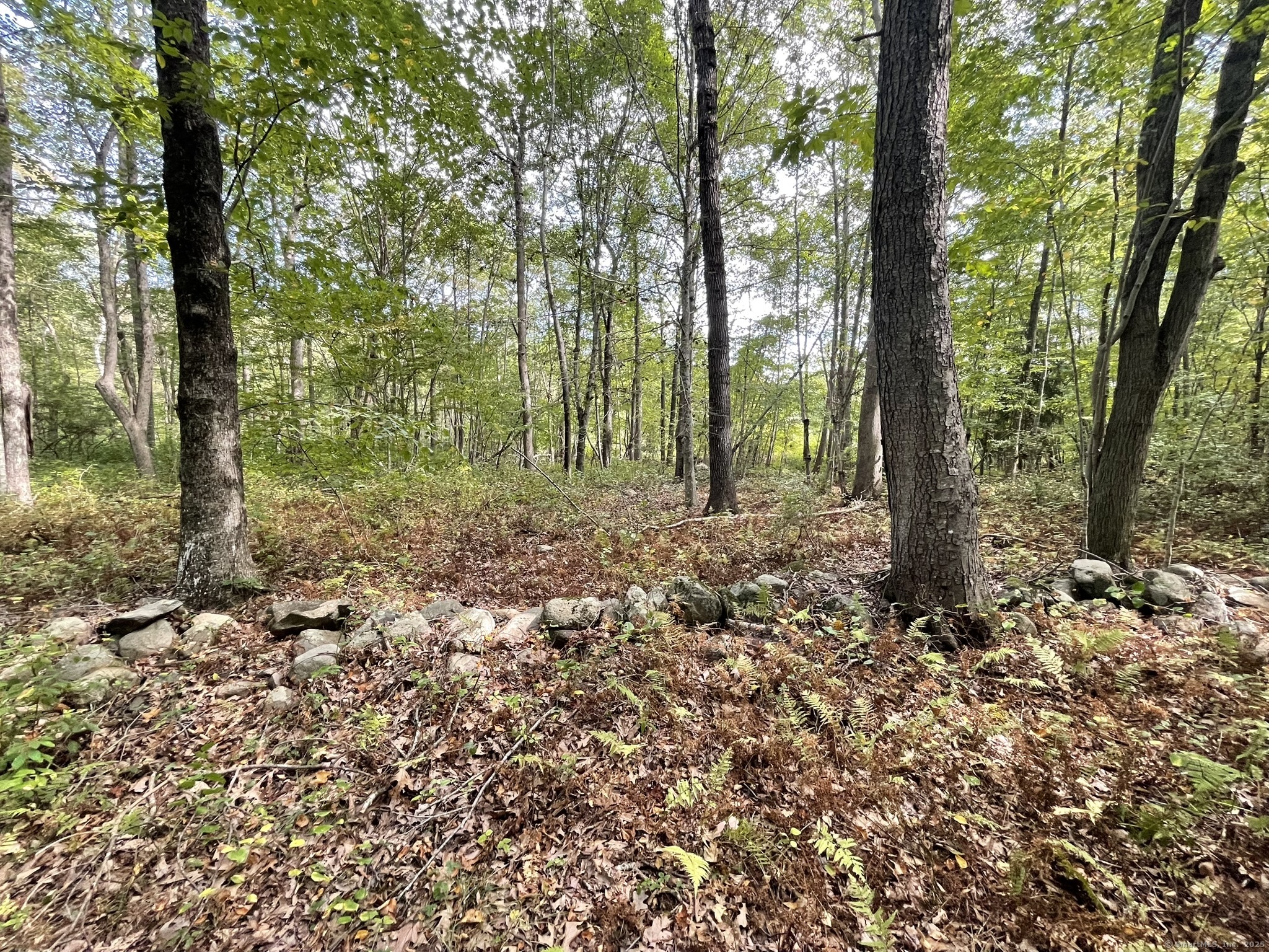 15 Short Hills Road Old Lyme CT 06371