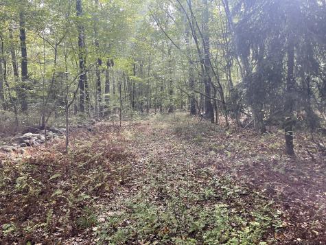 15 Short Hills Road Old Lyme CT 06371