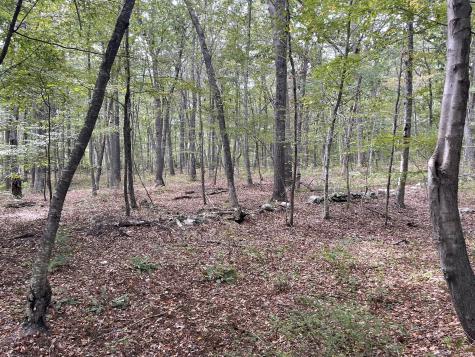 15 Short Hills Road Old Lyme CT 06371