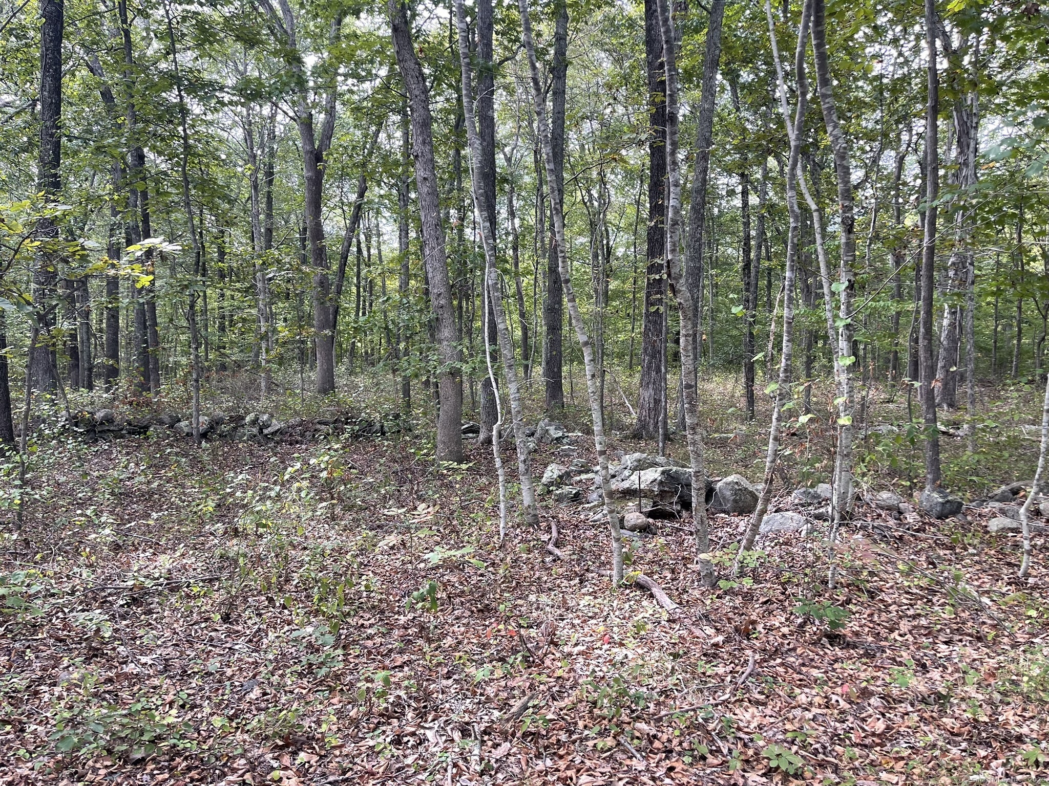 15 Short Hills Road Old Lyme CT 06371