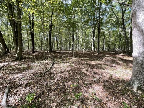 15 Short Hills Road Old Lyme CT 06371