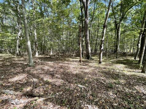 15 Short Hills Road Old Lyme CT 06371