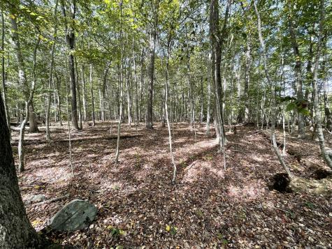 15 Short Hills Road Old Lyme CT 06371