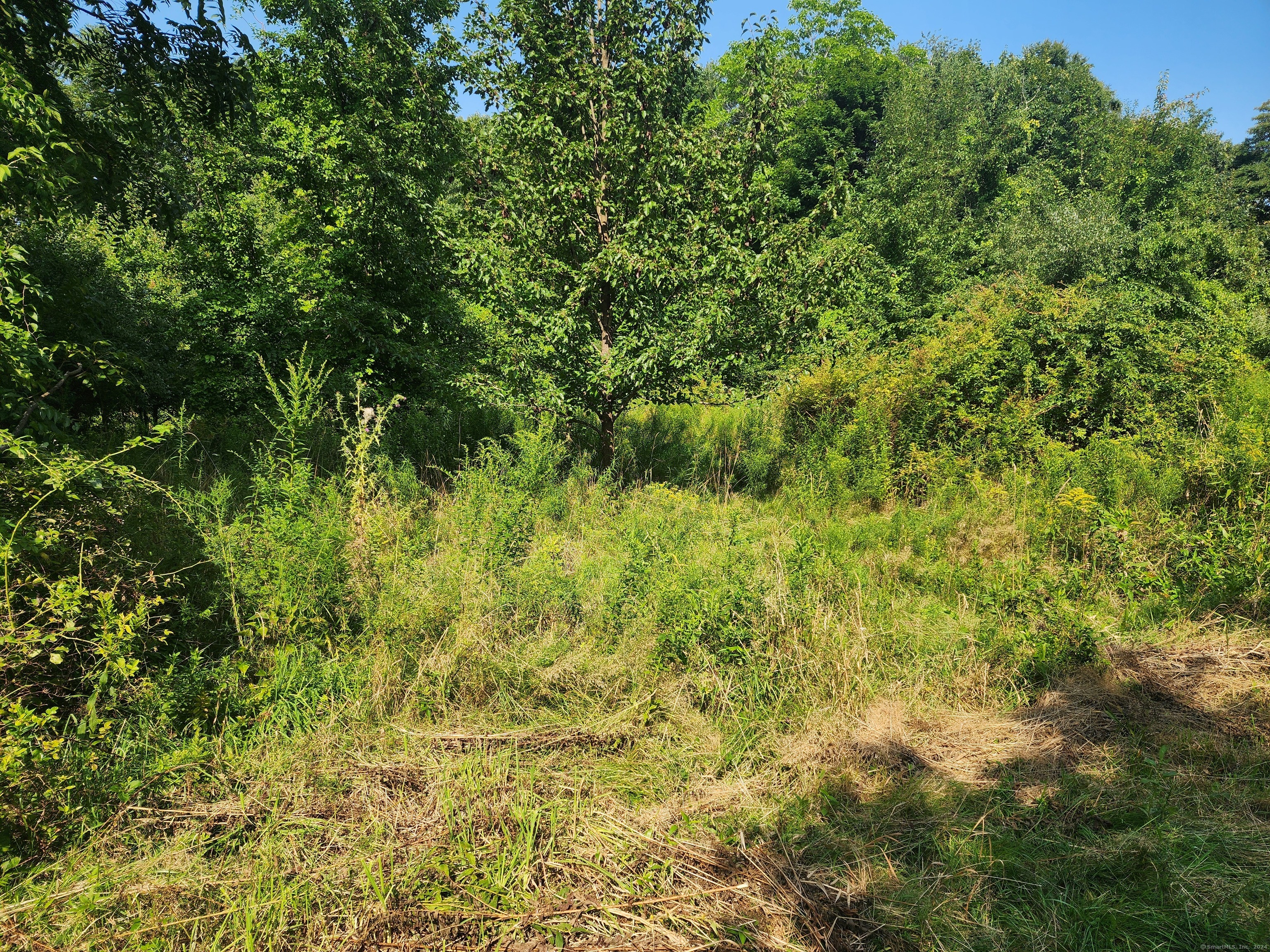 23 West Street Norwich CT 06360