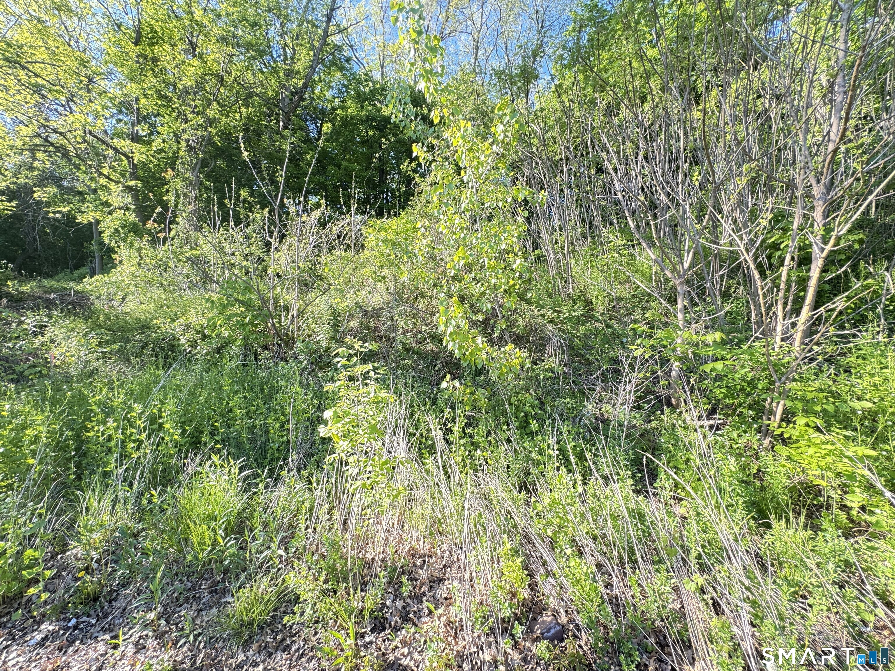 15 Clayton Court New Britain CT 06053