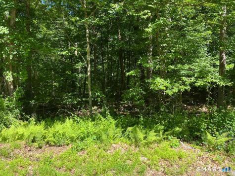 Middle Turnpike Mansfield CT 06250