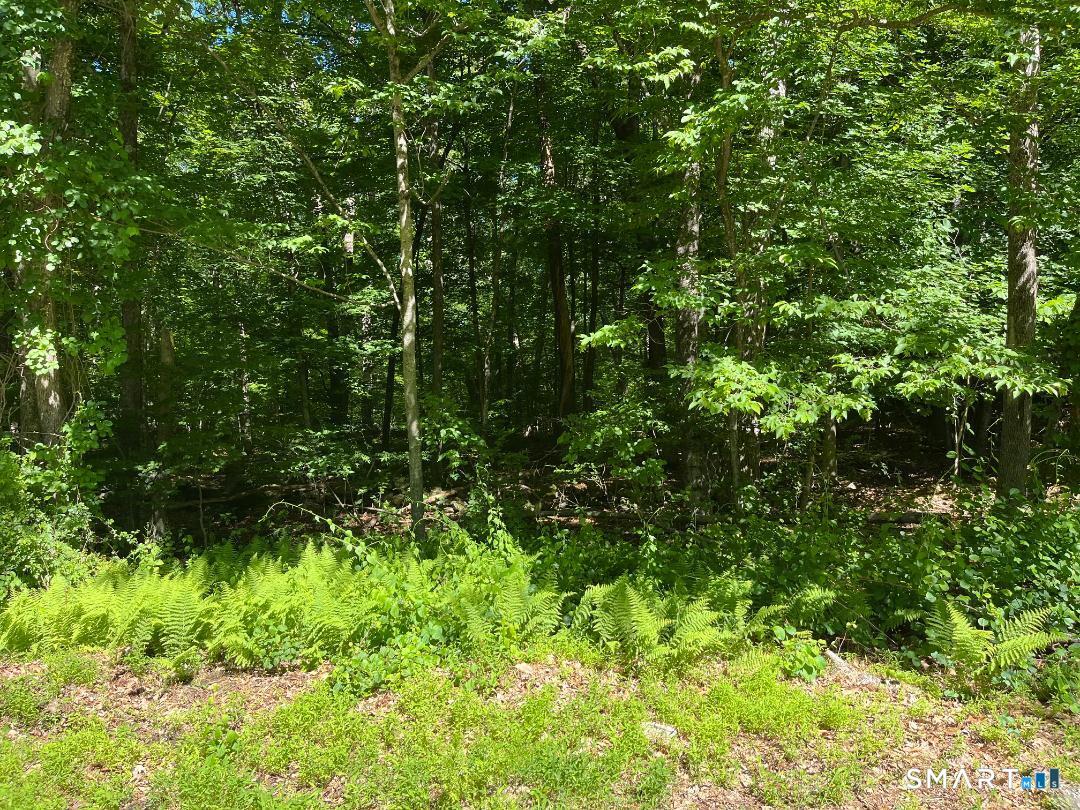 Mansfield CT, Middle Turnpike, Unit LOT 24