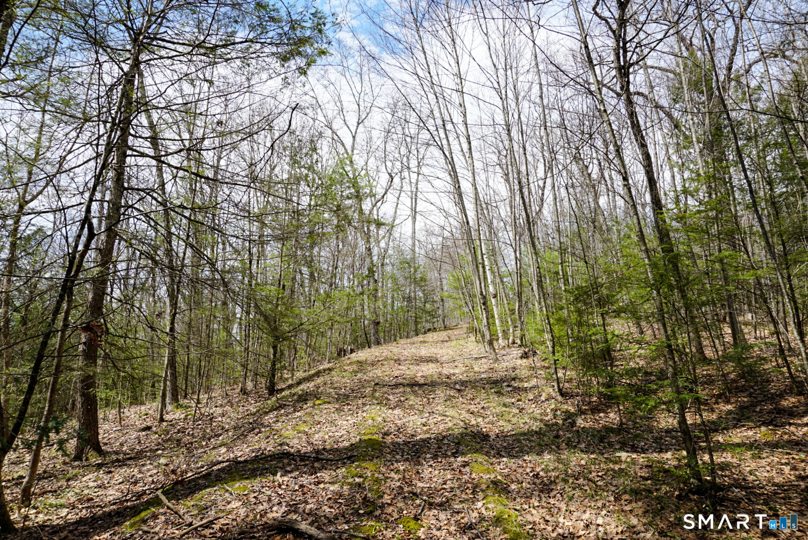 Prock Hill Road Colebrook CT 06021