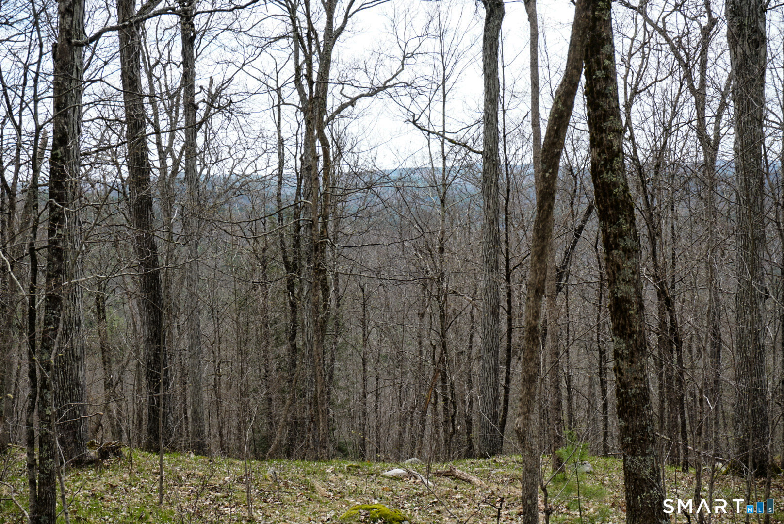 Prock Hill Road Colebrook CT 06021