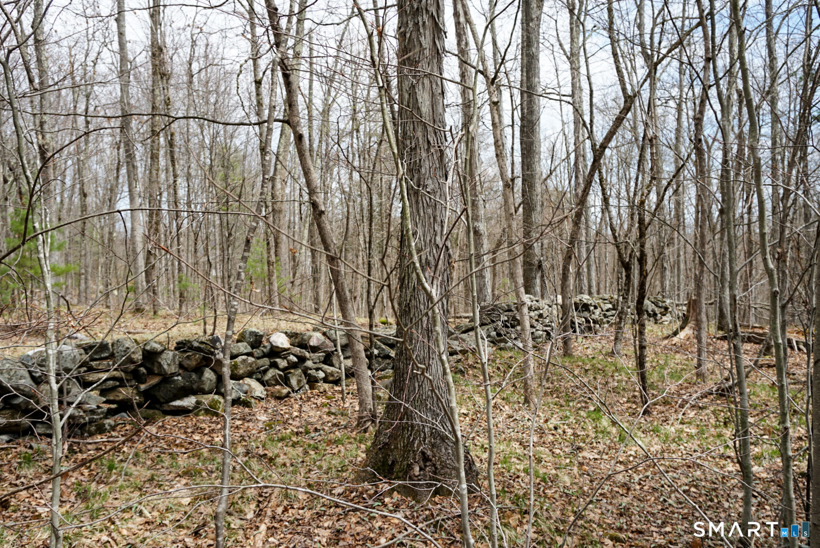 Prock Hill Road Colebrook CT 06021