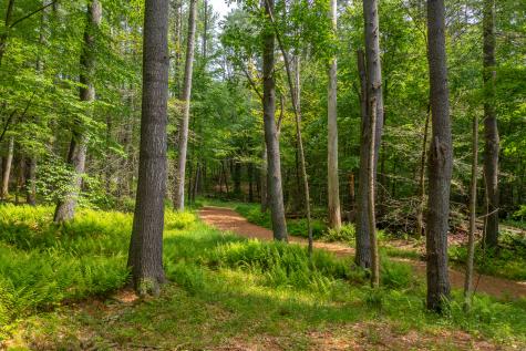 50 Popple Swamp Road Cornwall CT 06754