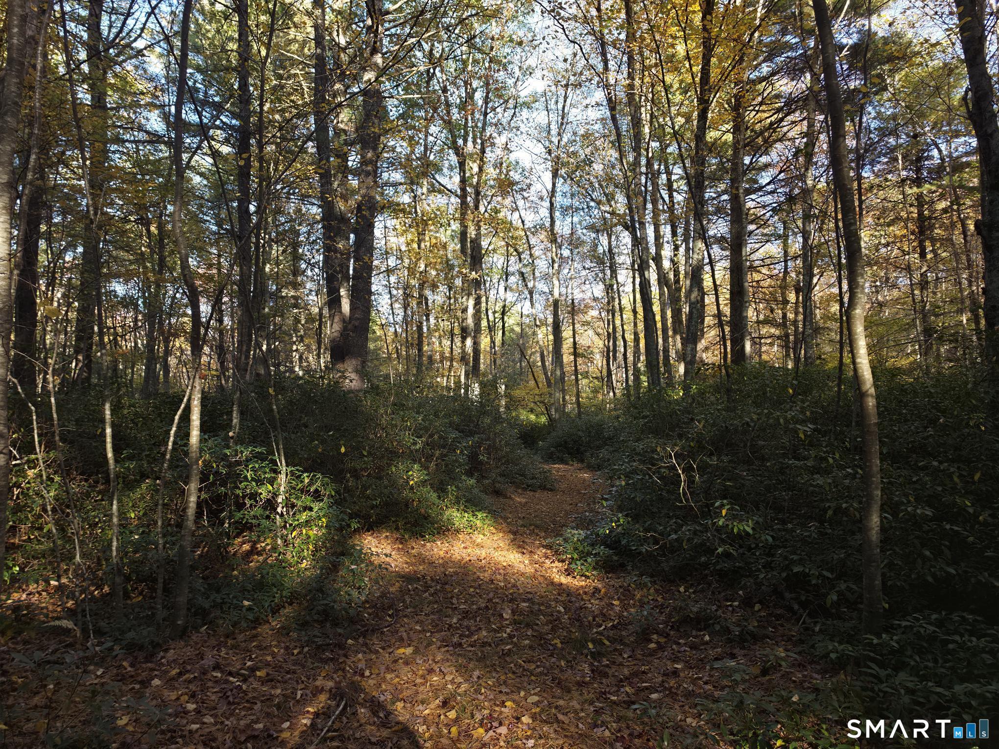 50 Burlingame Road Killingly CT 06239