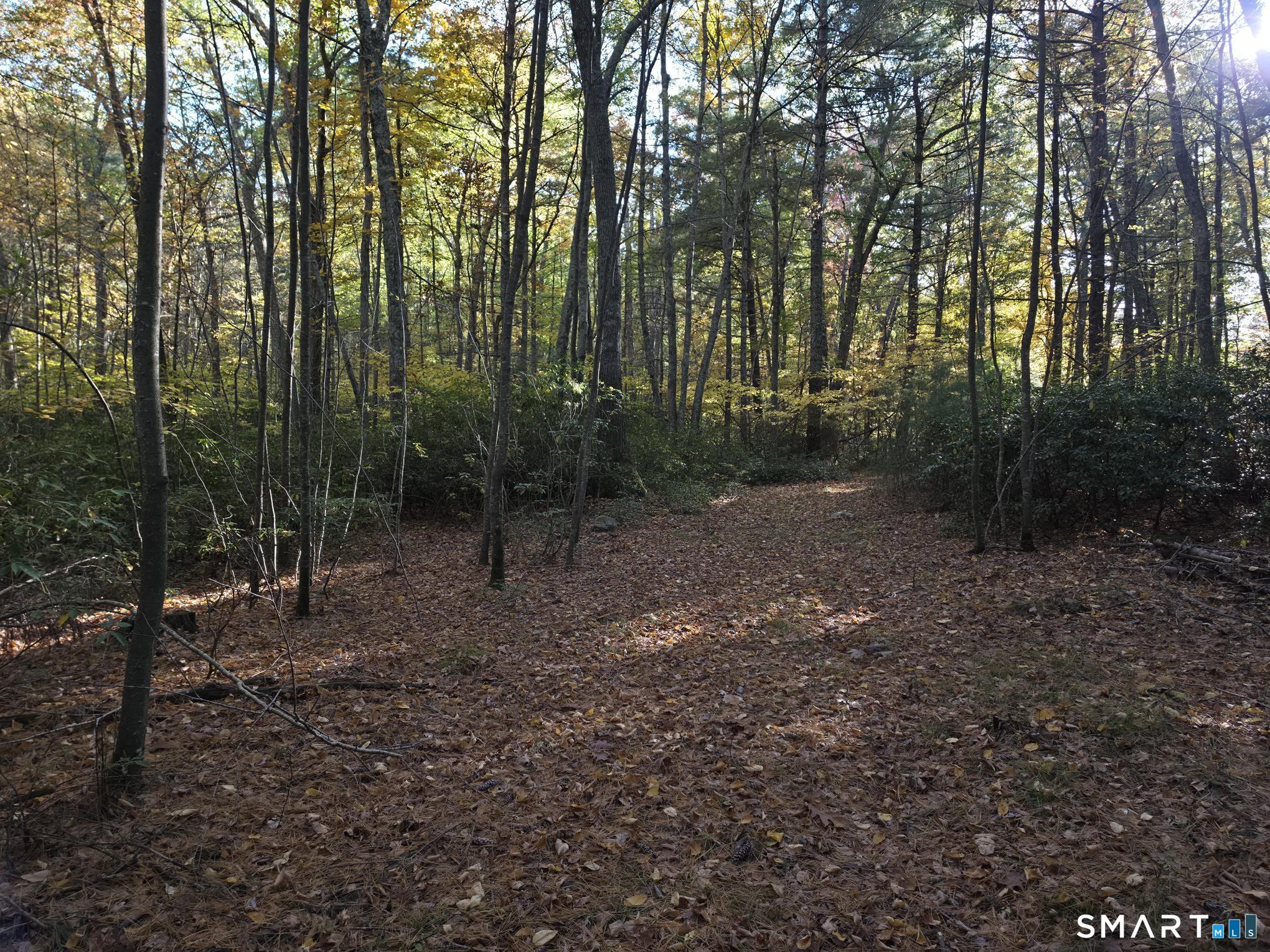 50 Burlingame Road Killingly CT 06239