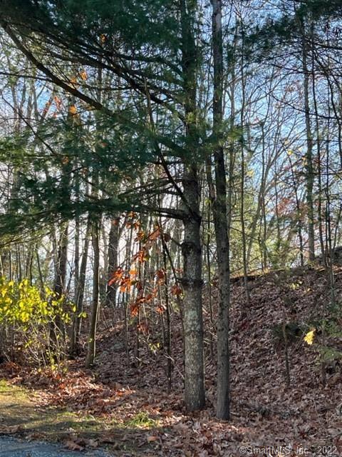 155 Groveland Avenue Putnam CT 06260