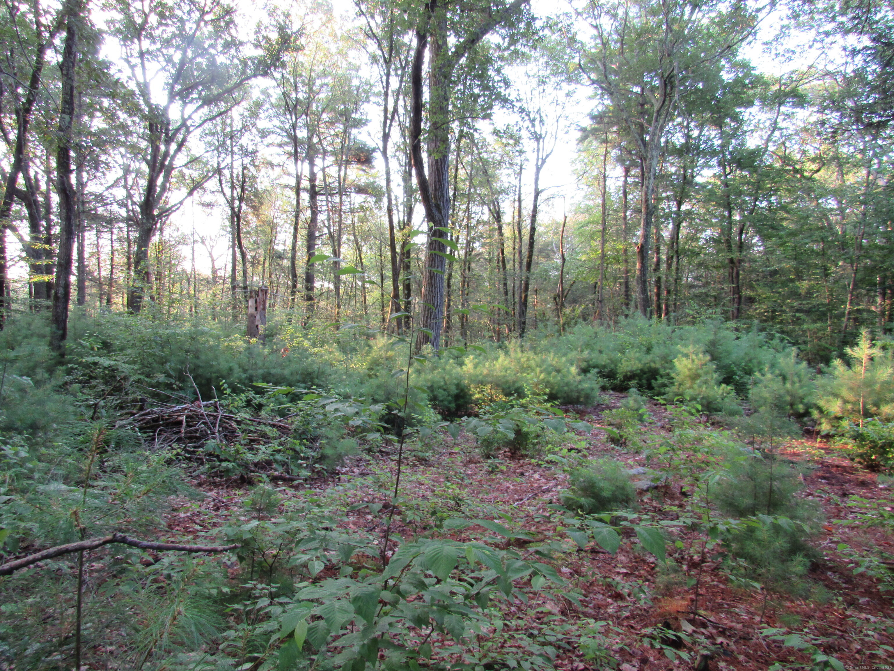 7 Stadler Heights Winchester CT 06098