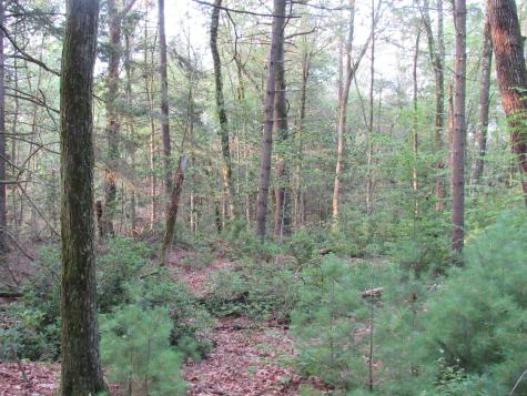 7 Stadler Heights Winchester CT 06098