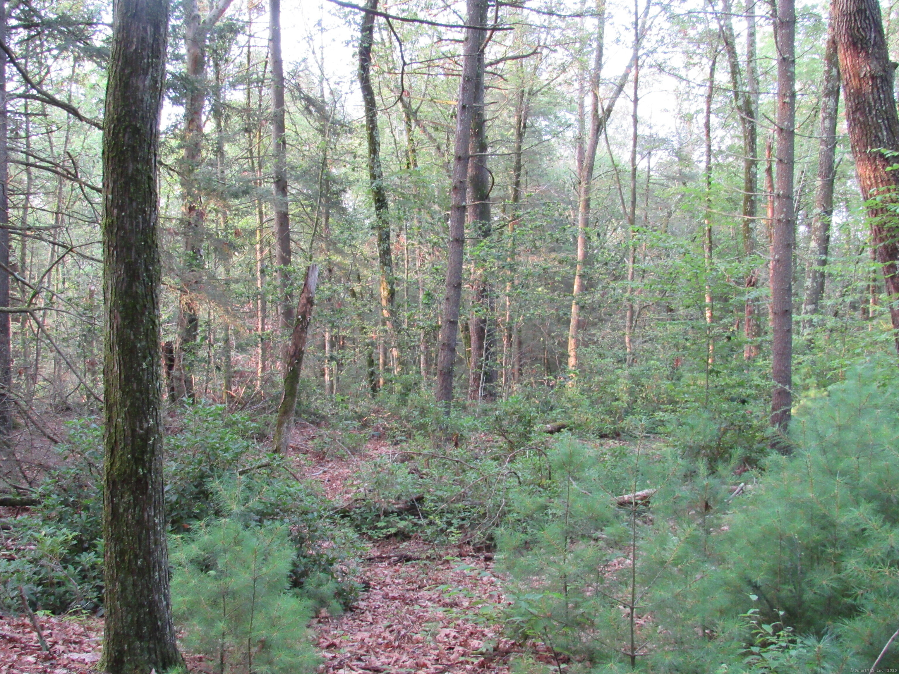 7 Stadler Heights Winchester CT 06098