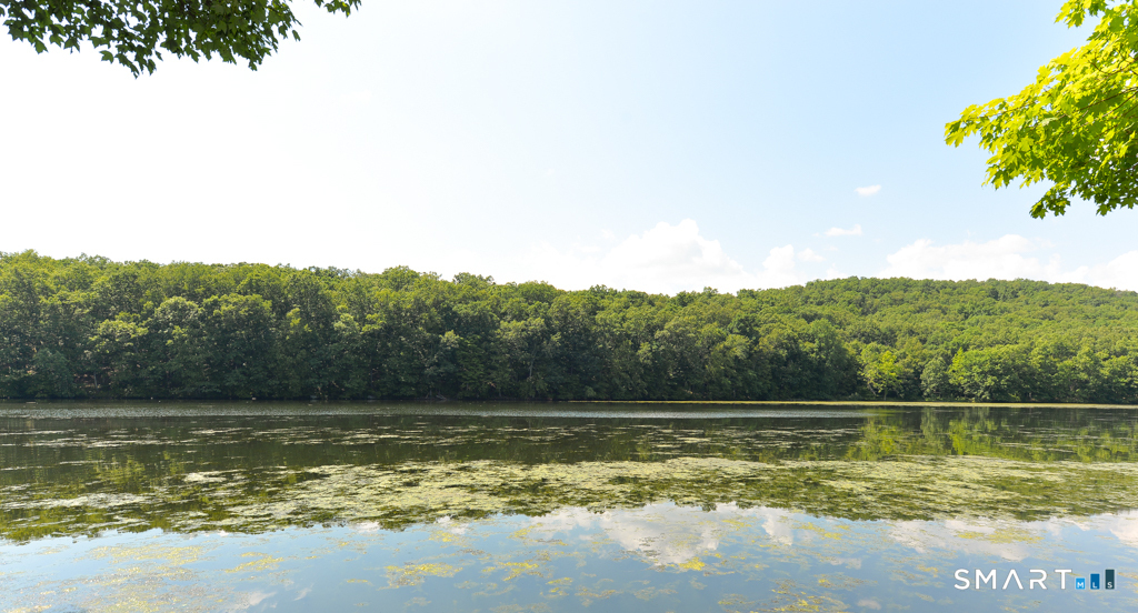 1145 West Purchase Road Southbury CT 06488