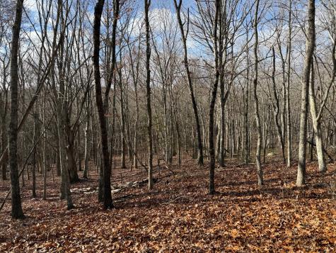 Chesterfield Road East Lyme CT 06333