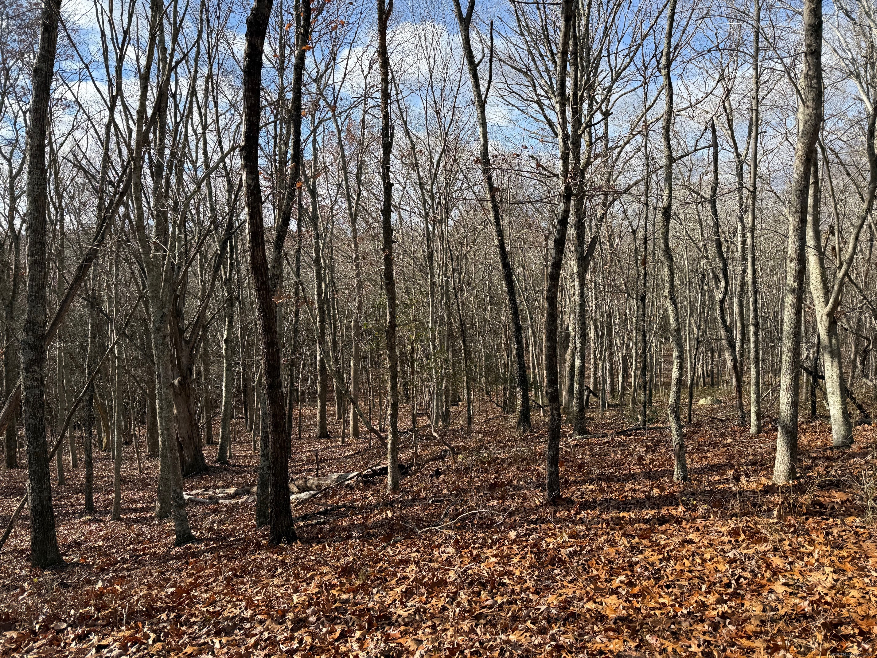 Chesterfield Road East Lyme CT 06333