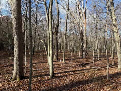 Chesterfield Road East Lyme CT 06333