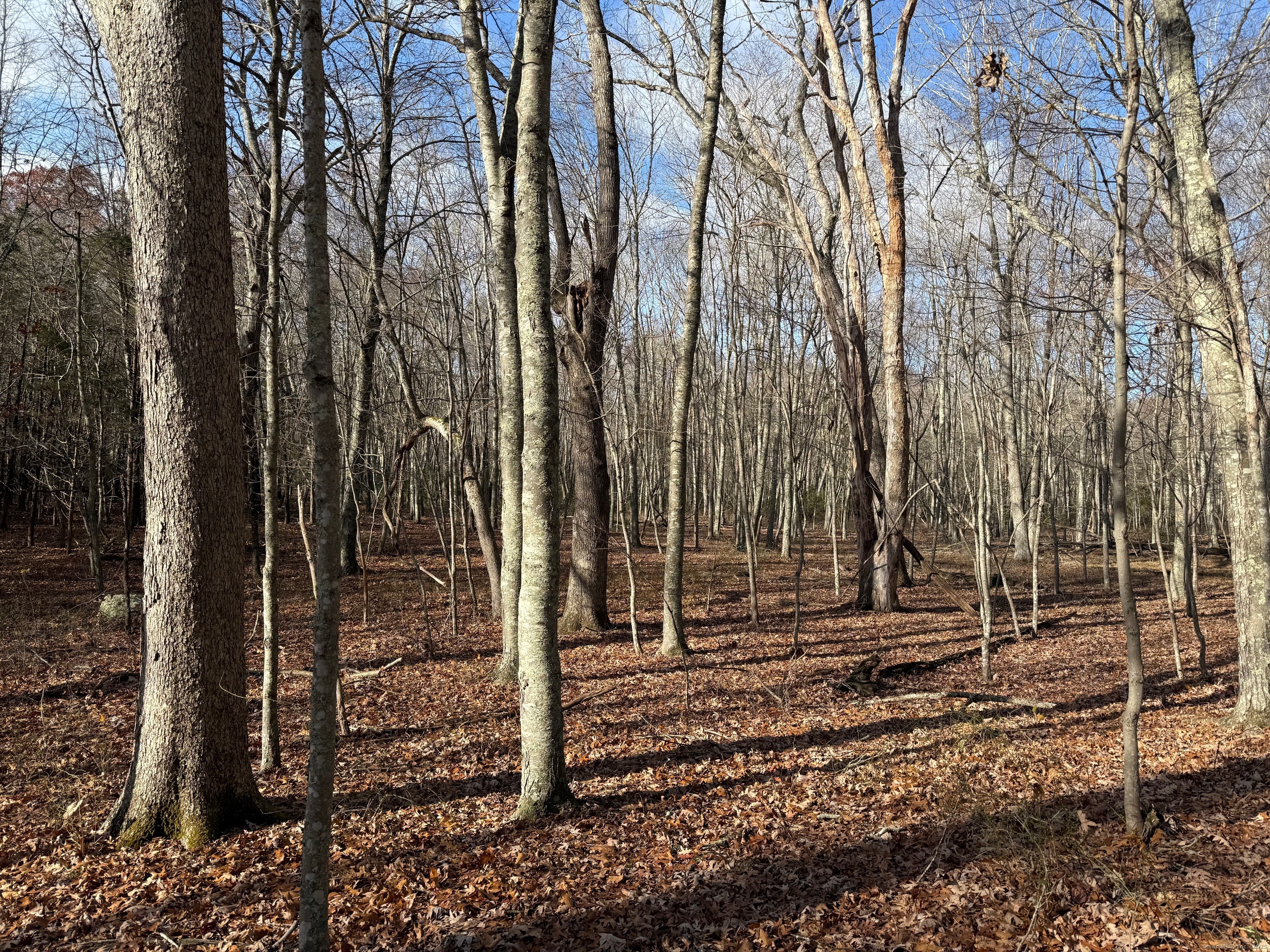 Chesterfield Road East Lyme CT 06333