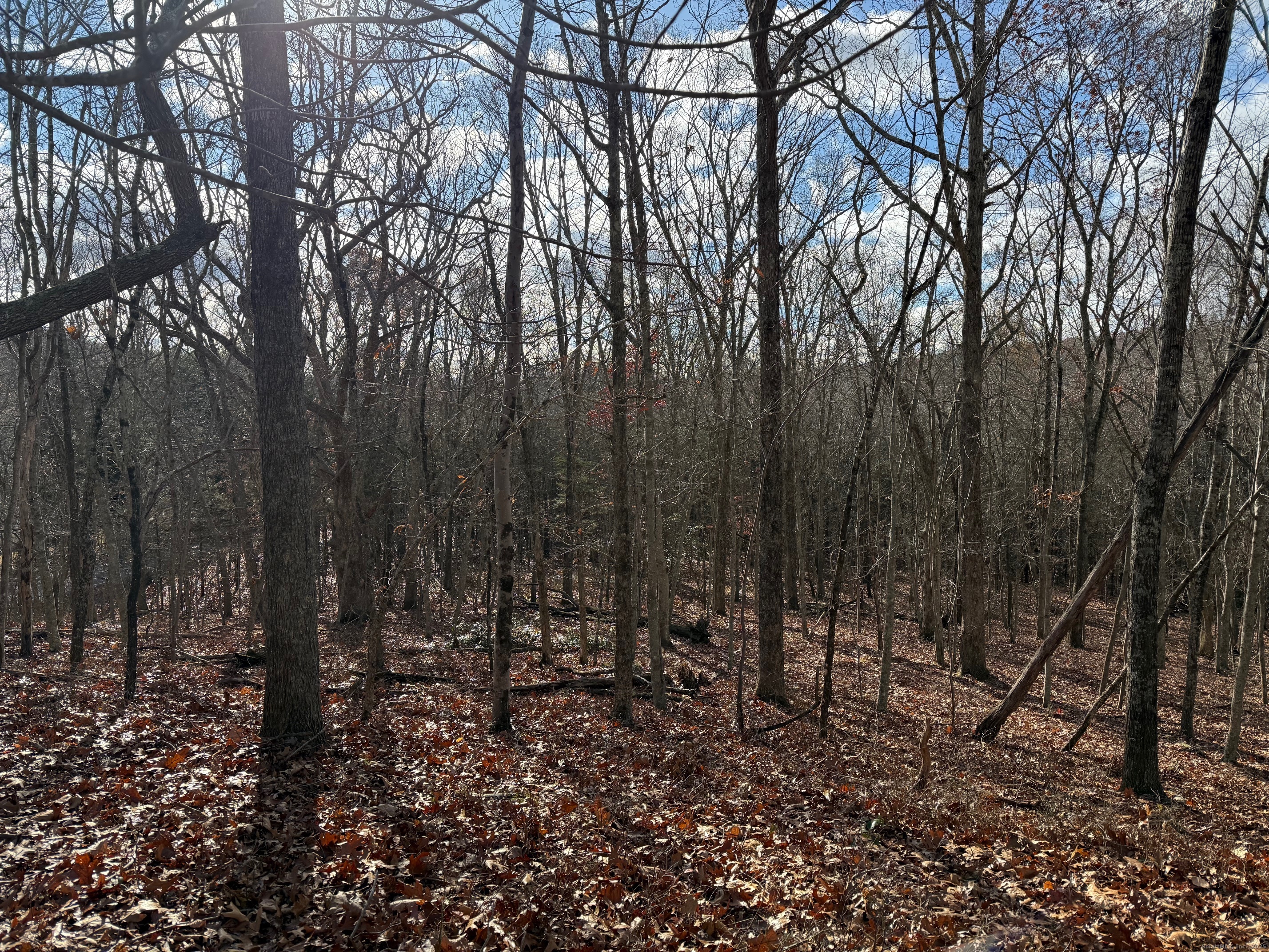 Chesterfield Road East Lyme CT 06333