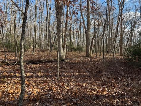 Chesterfield Road East Lyme CT 06333