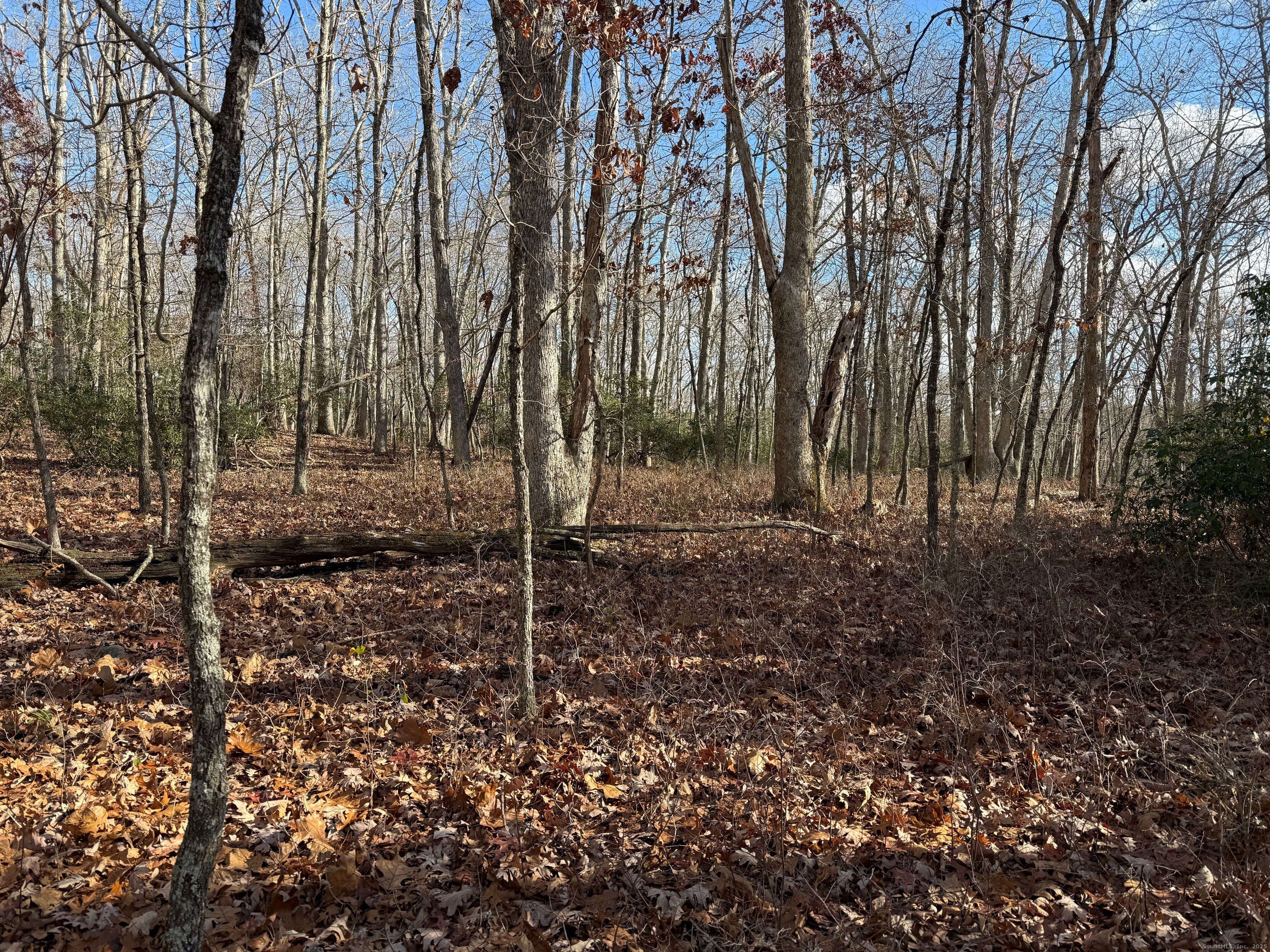 Chesterfield Road East Lyme CT 06333