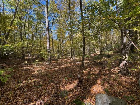 428-LOT Plains Road Haddam CT 06438