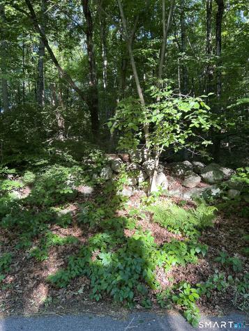 Cobbs Mill Road Wilton CT 06897