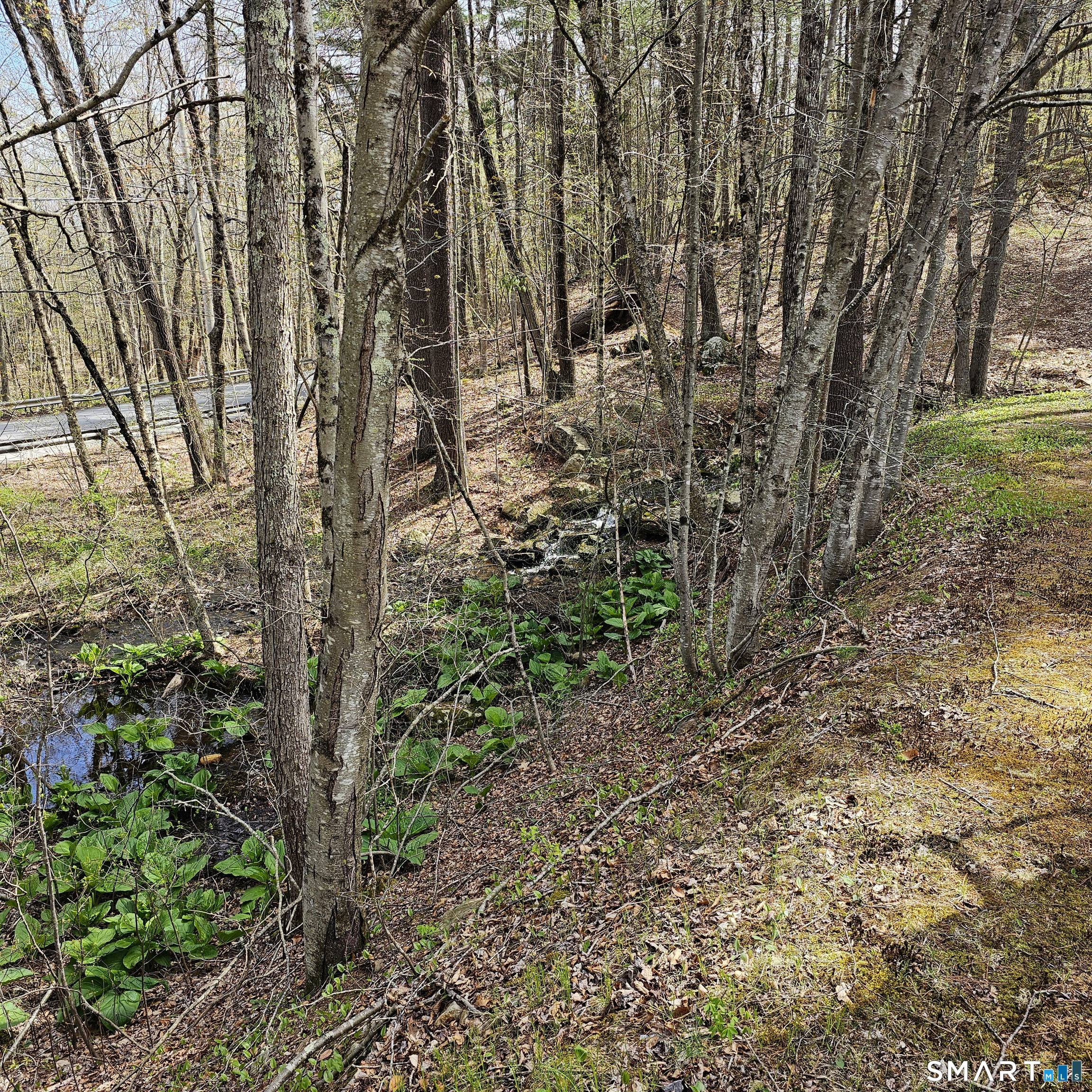 Jared Sparks Road Willington CT 06279